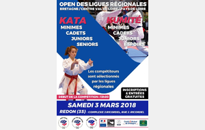 35 Redon - Open des Ligues Régionales Kata/Combats.