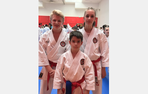 59 Lille - Chpt de France Kata MCJS 2018.