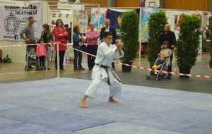Jules Sauzet sur Kata "Gankaku"
