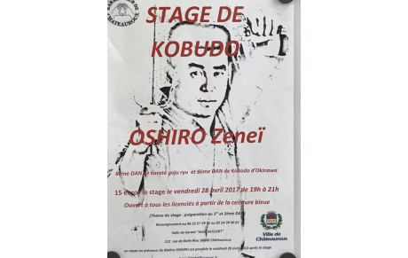 36 Châteauroux - Stage Kobudo d'Okinawa