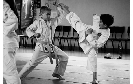 36 Châteauroux - 2ème Stage d'été : Karaté / Kobudo.
